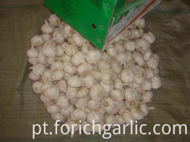 Pure White Garlic